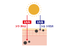 1_イラスト_肌断面図・UVA・UVB