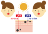 4_イラスト_肌断面図・UVA・UVB・シワ・シミ