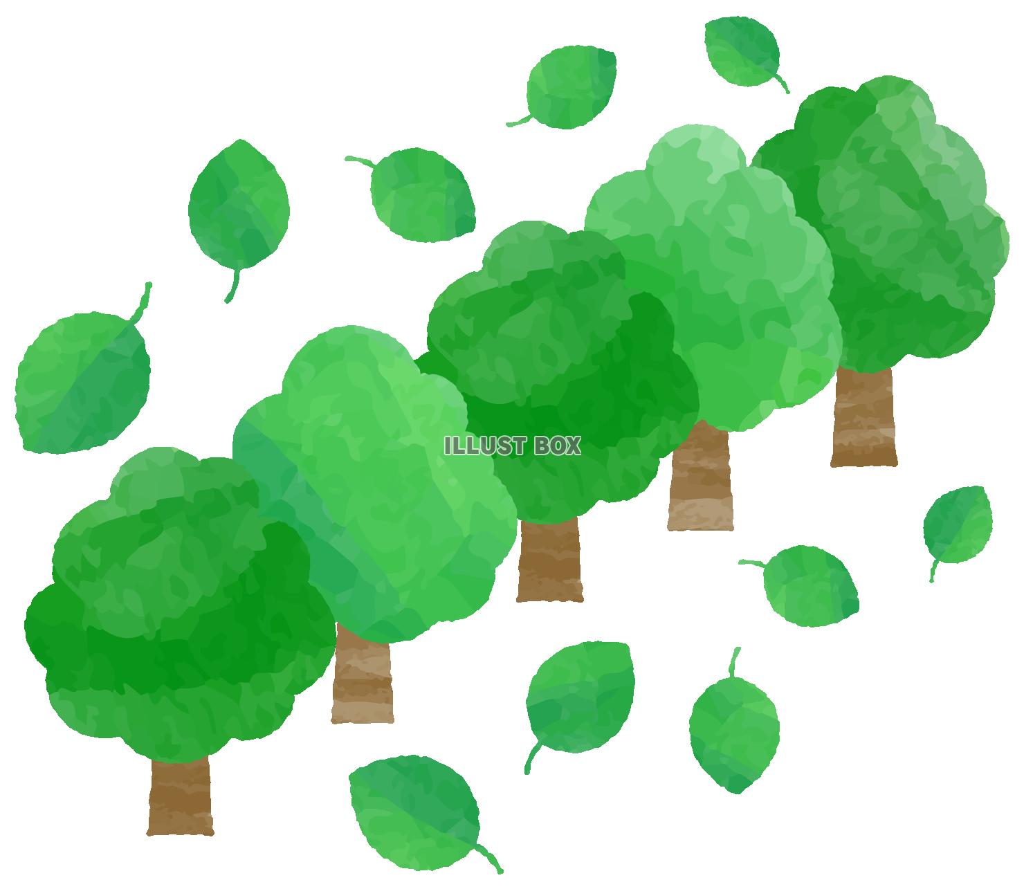 緑の並木と緑の葉