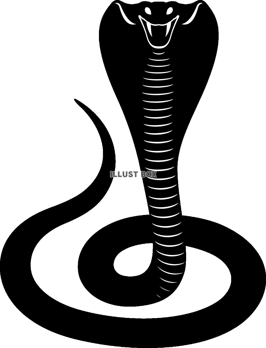コブラ　鎌首を持ち上げる毒蛇のシルエット