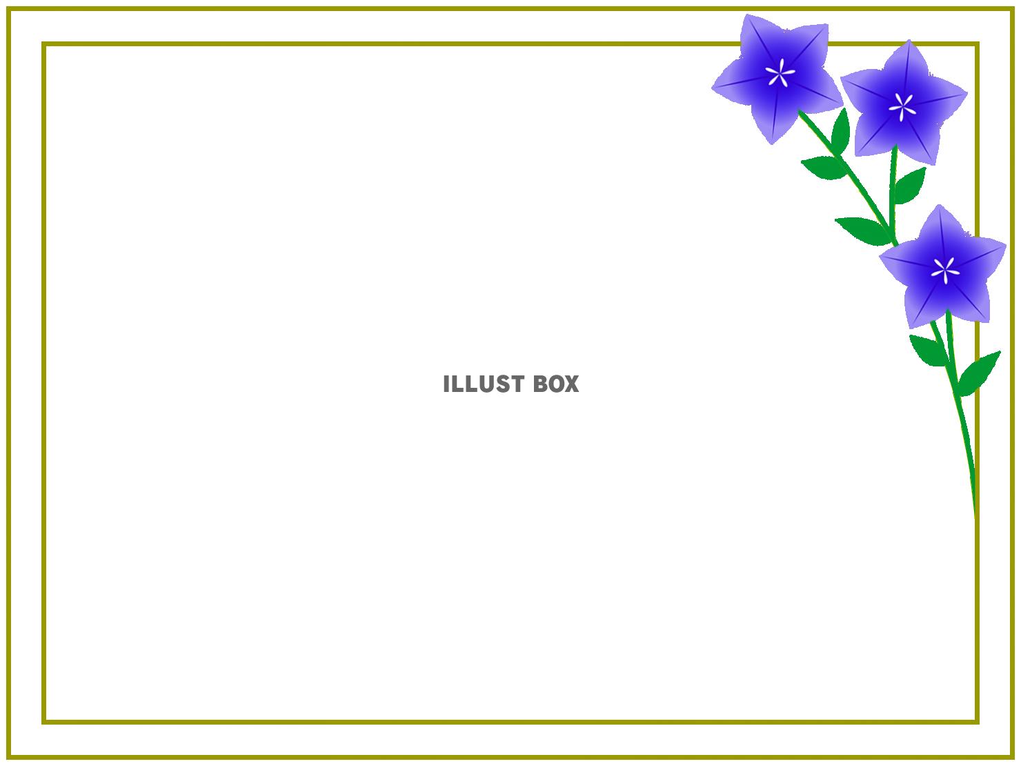 桔梗の花模様フレームシンプル飾り枠背景イラスト透過png