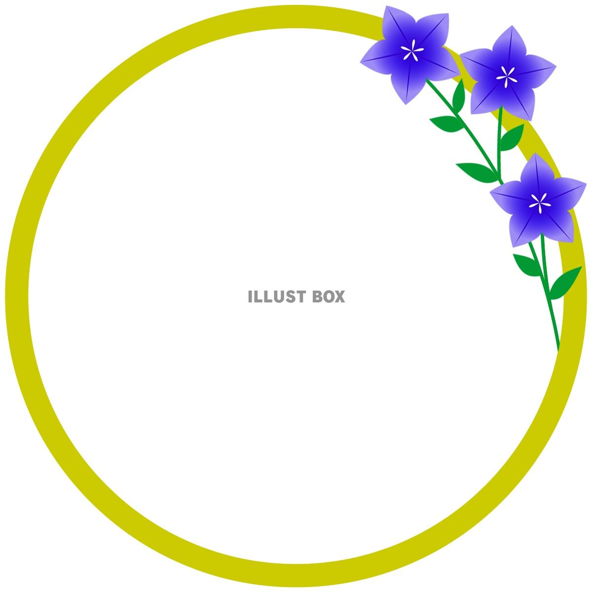 桔梗の花模様フレームシンプル飾り枠背景イラスト