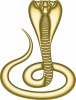 金色に輝くゴージャスな毒蛇　コブラ