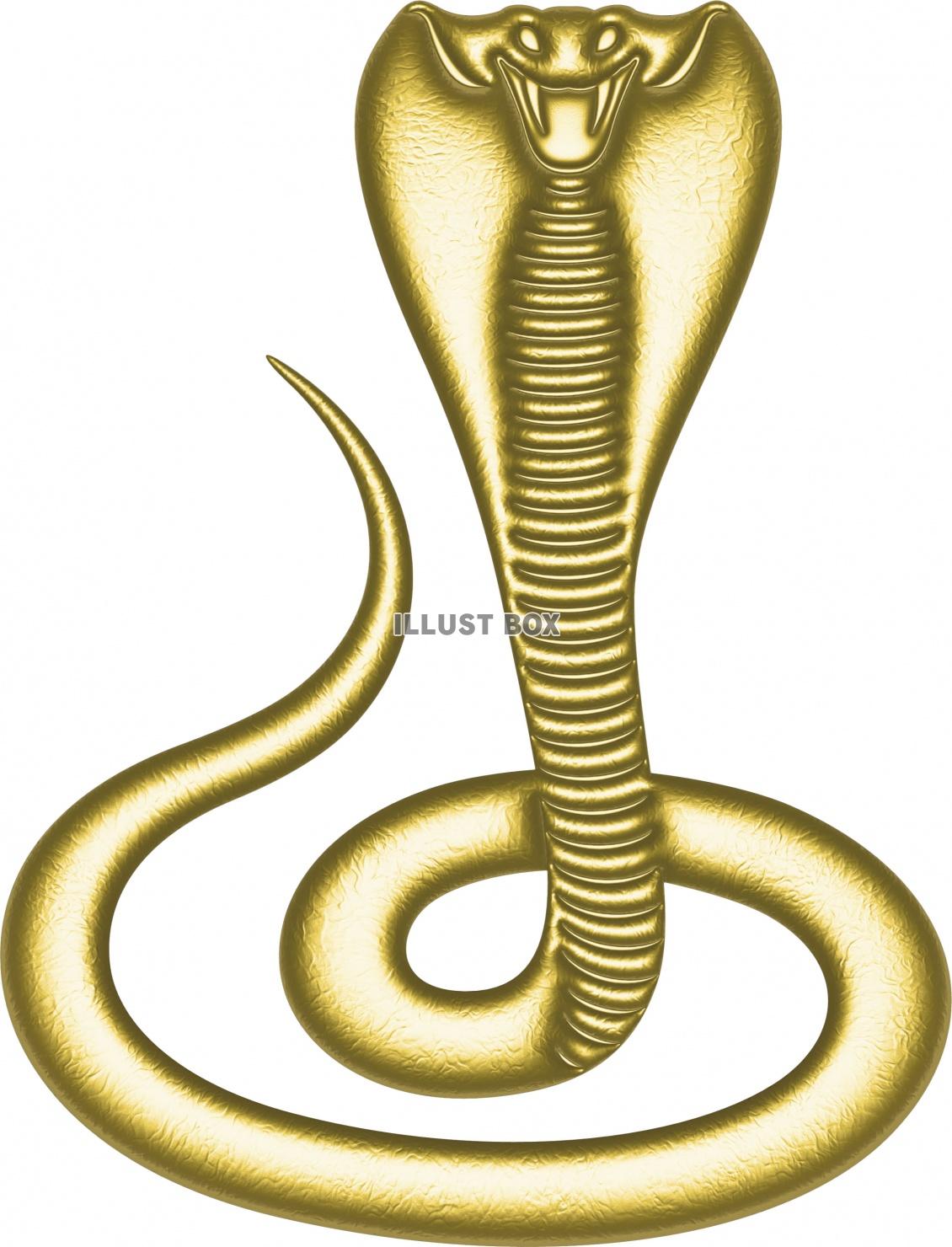 無料イラスト 金色に輝くゴージャスな毒蛇 コブラ