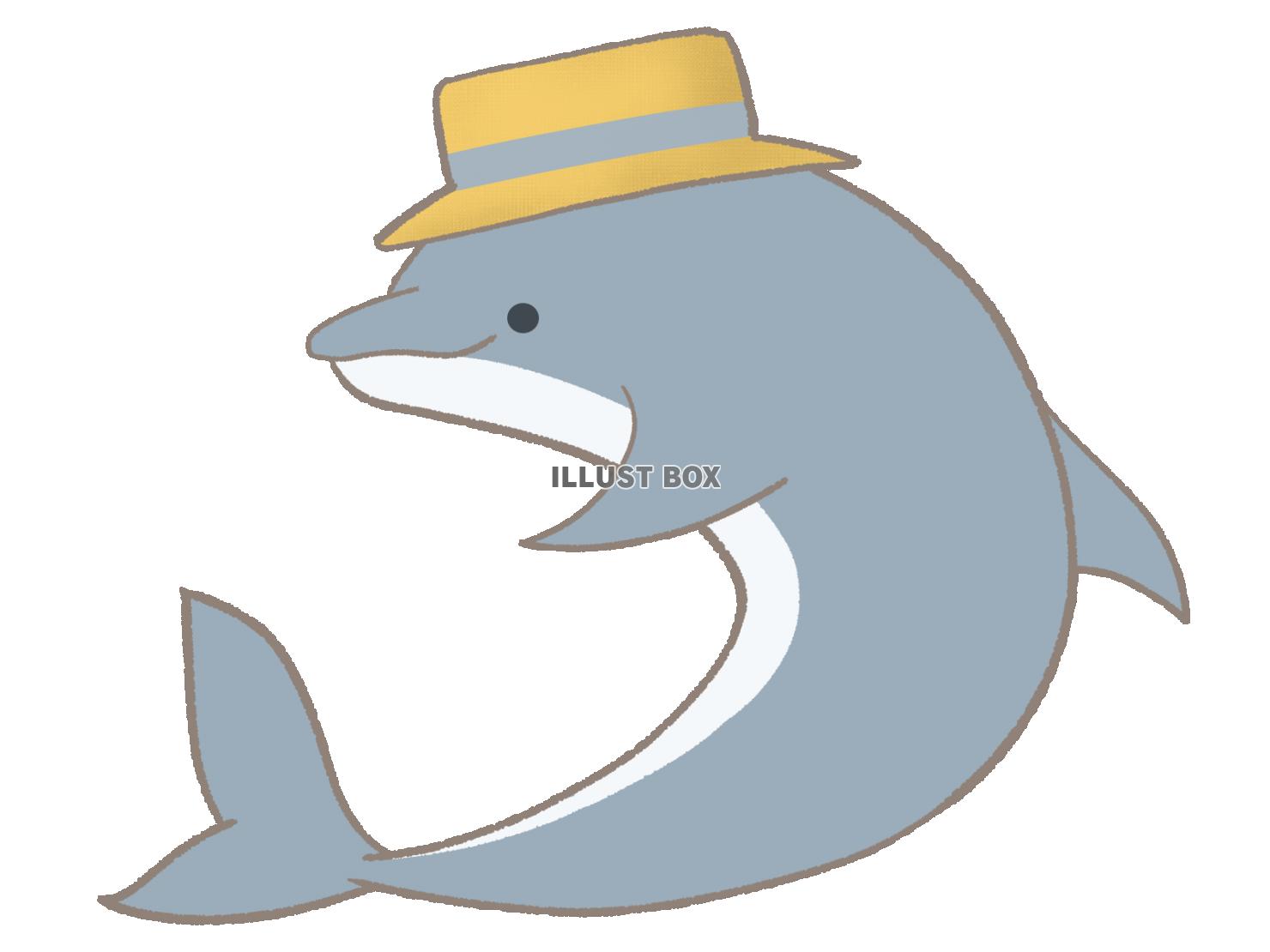 帽子をかぶったイルカのイラスト　線あり