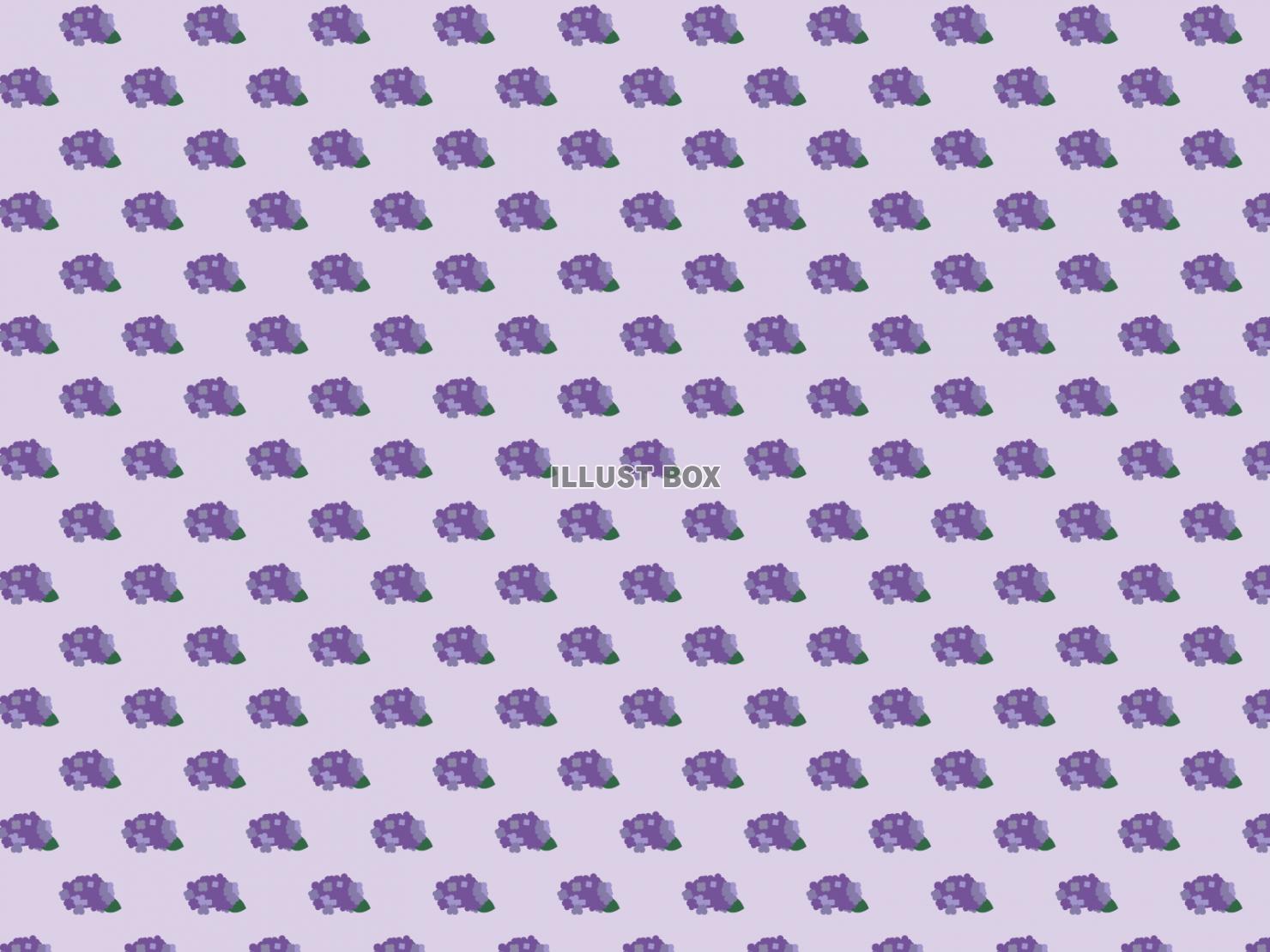 梅雨のパターン━紫陽花