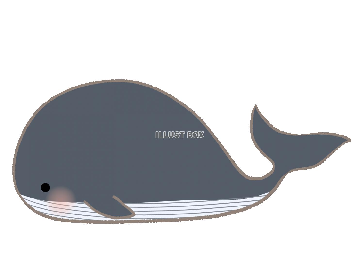 無料イラスト シンプルなクジラのイラスト 線あり