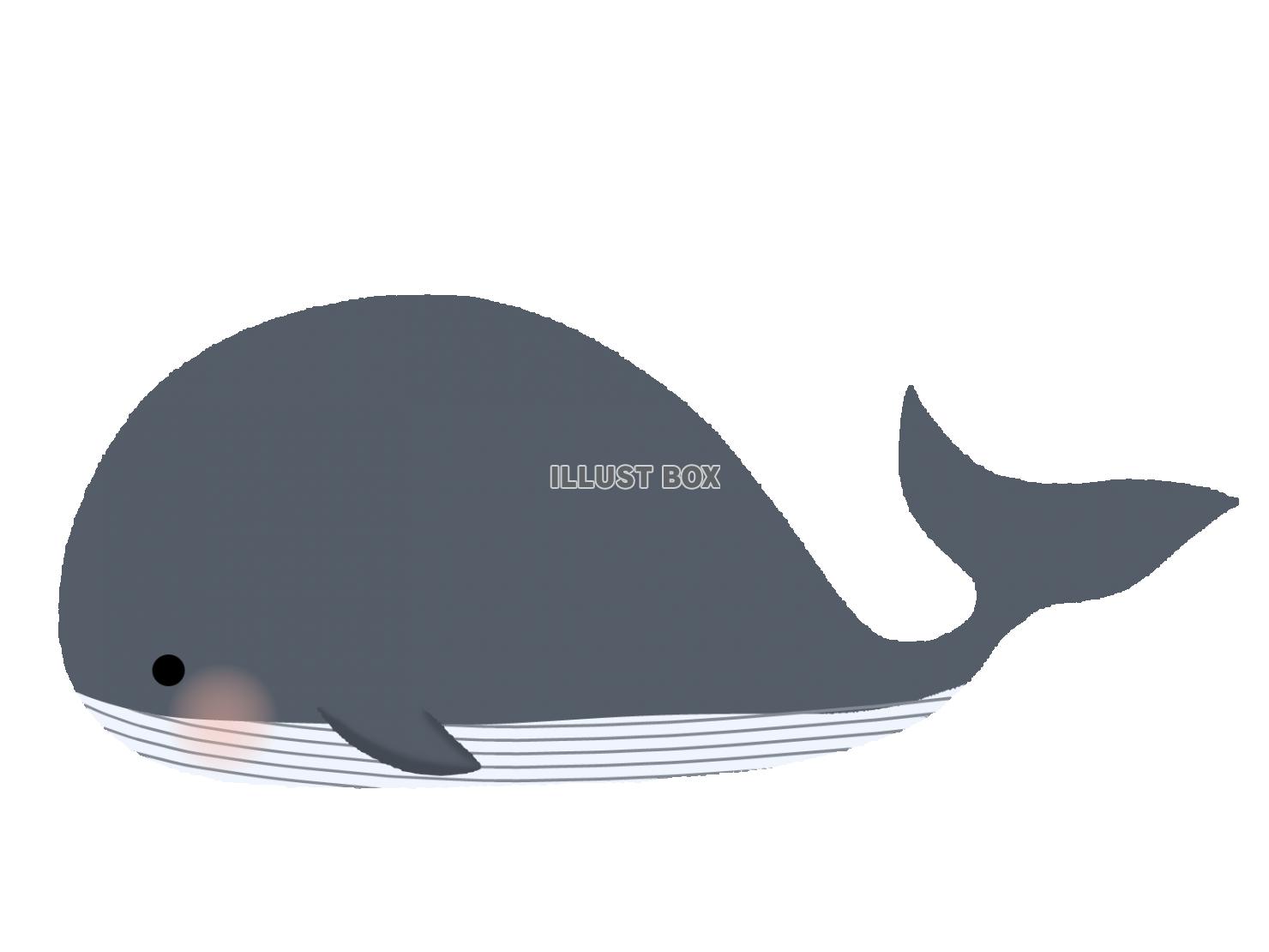 無料イラスト シンプルなクジラのイラスト 線なし