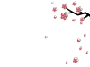 桜の花と枝と花びらの背景１