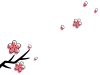 桜の花と枝と花びらの背景２