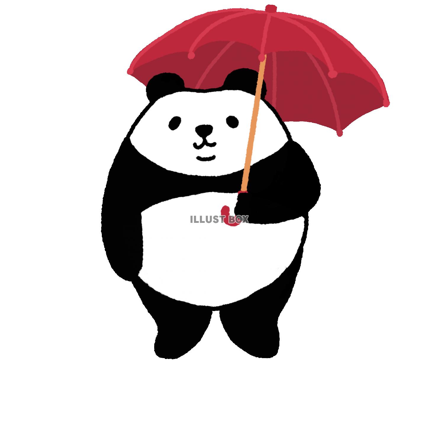 パンダシリーズ　雨傘 