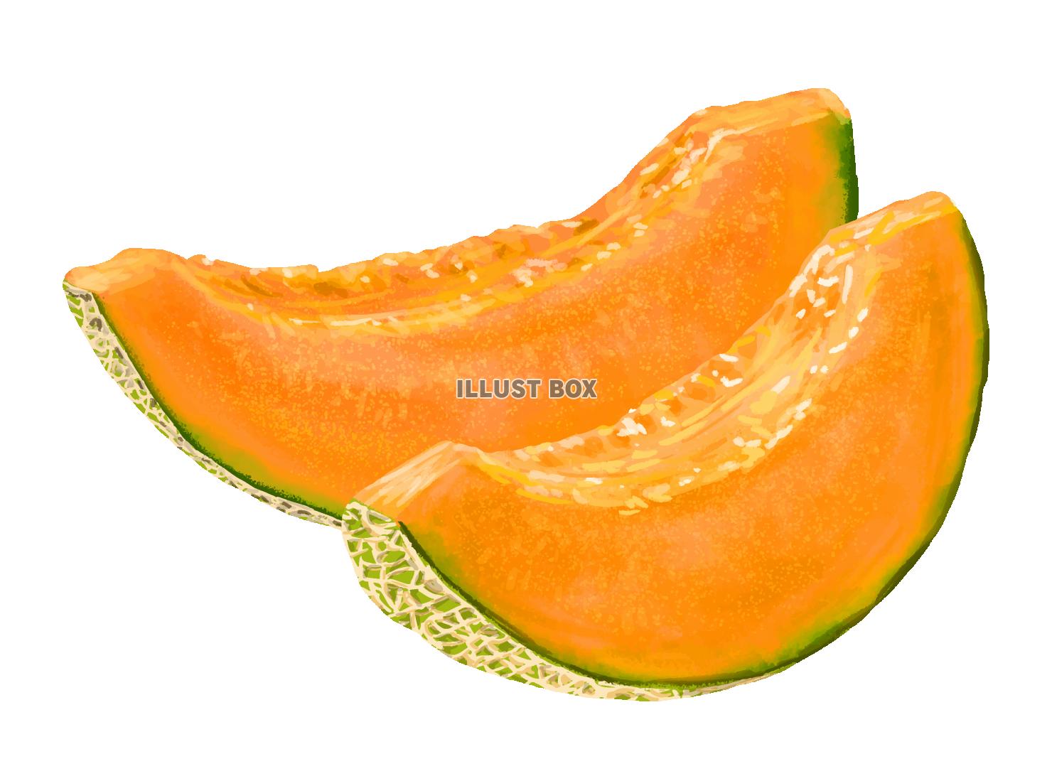 リアルなオレンジ色のメロン(zipファイル: pdf,jpg...