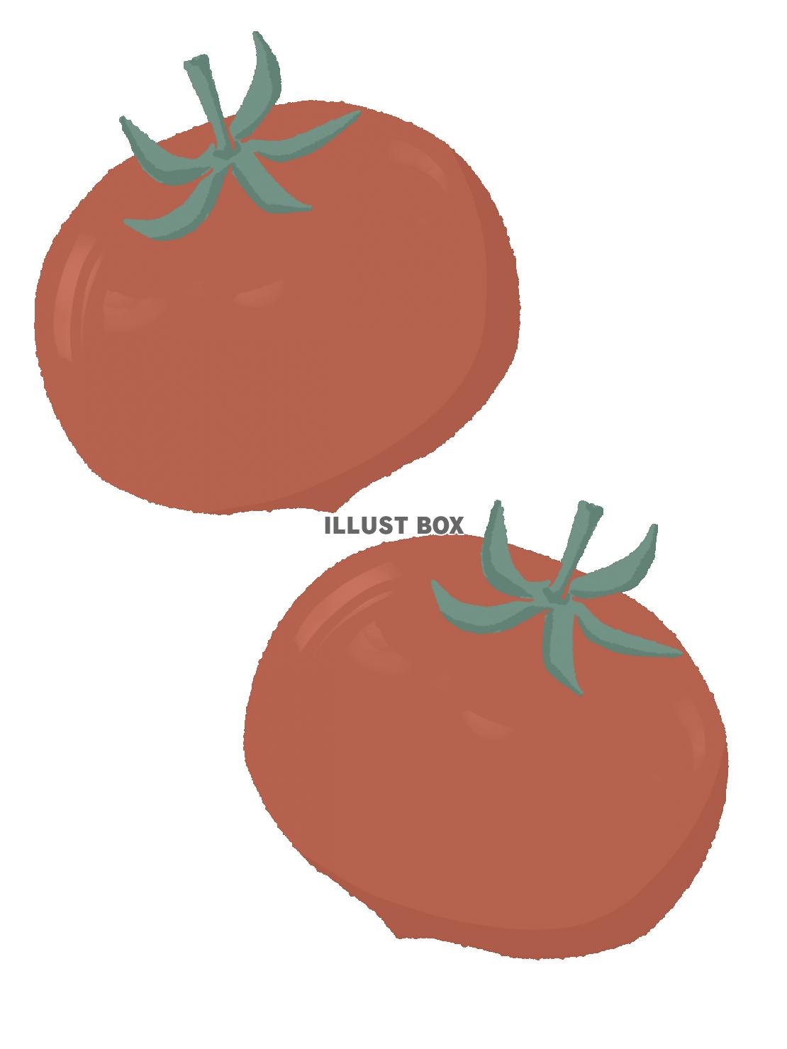 シンプルな赤いトマトのイラスト　線なし