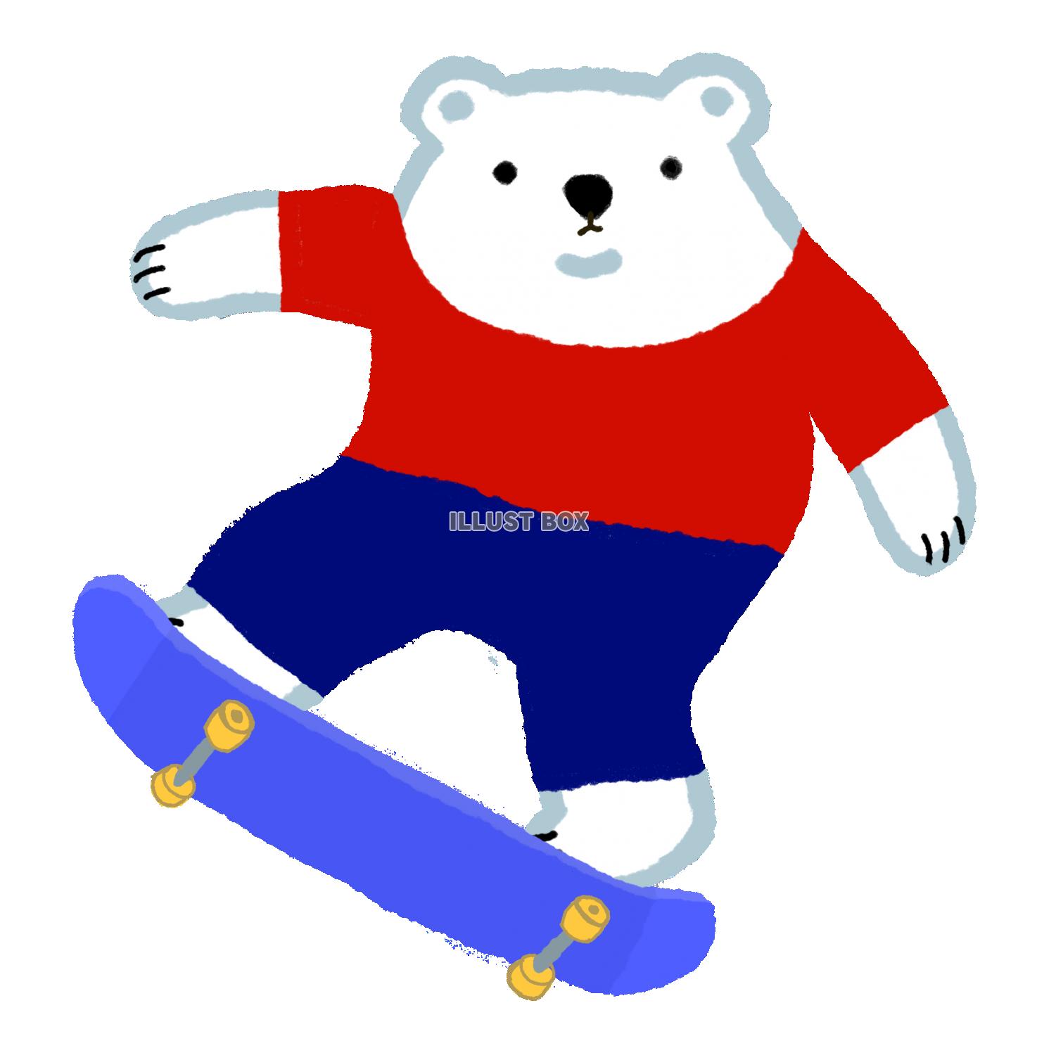 シロクマオリンピック・スケートボード 