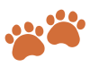 動物の足跡　オレンジ色