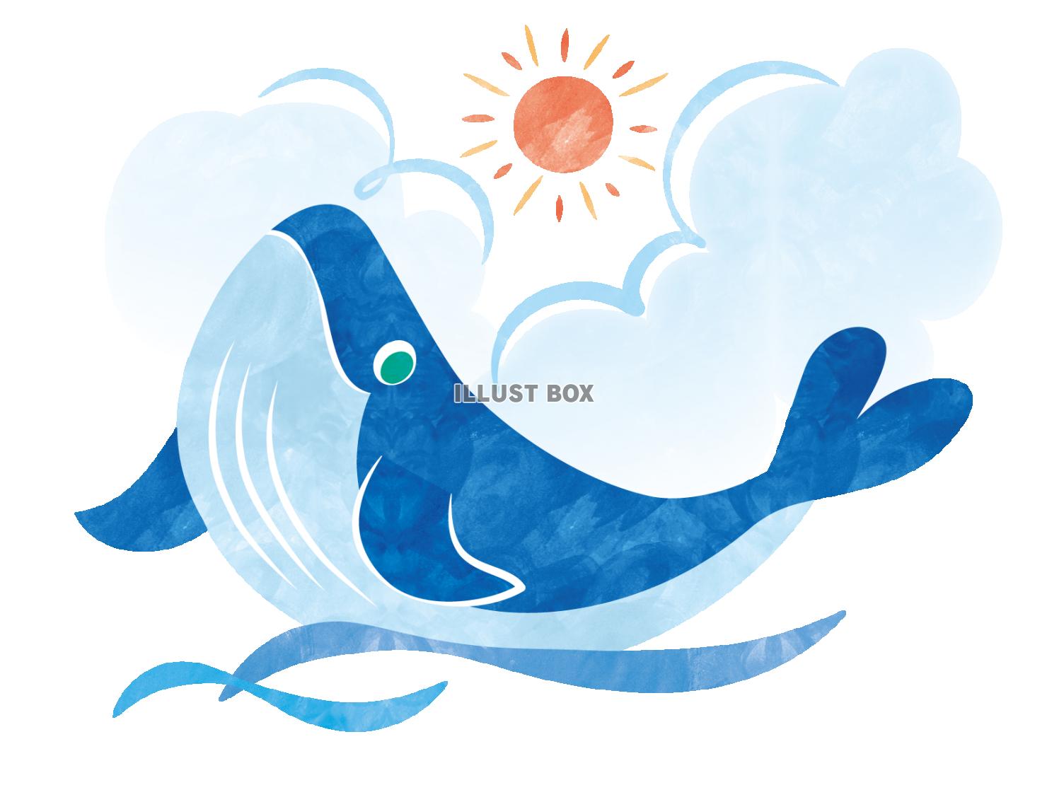 夏の海を泳ぐクジラの水彩風イラスト