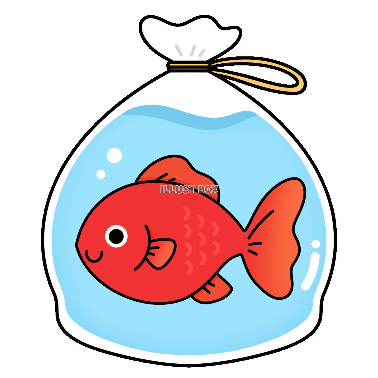 金魚すくい　赤　ビニール袋