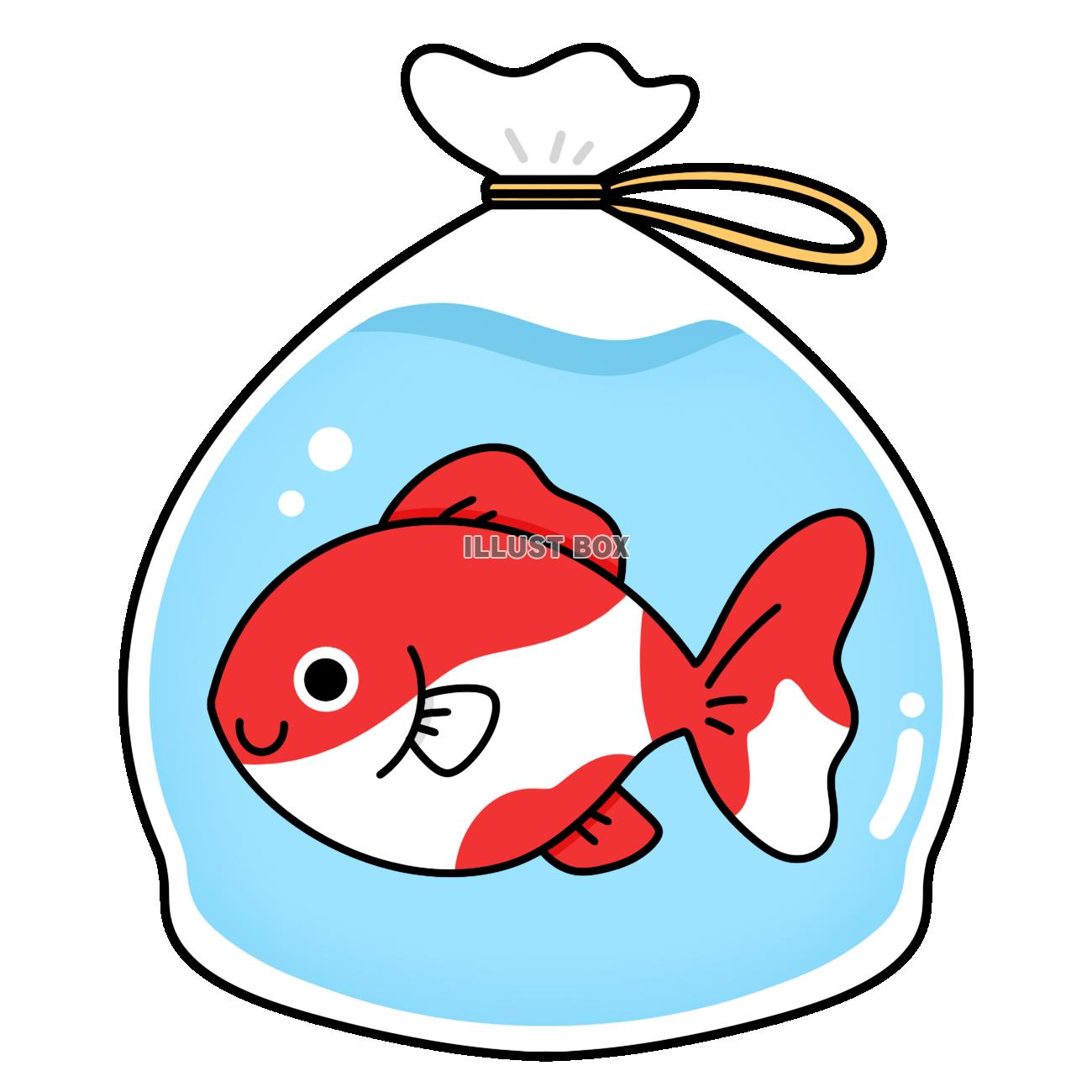 無料イラスト 金魚すくい 赤白 ビニール袋