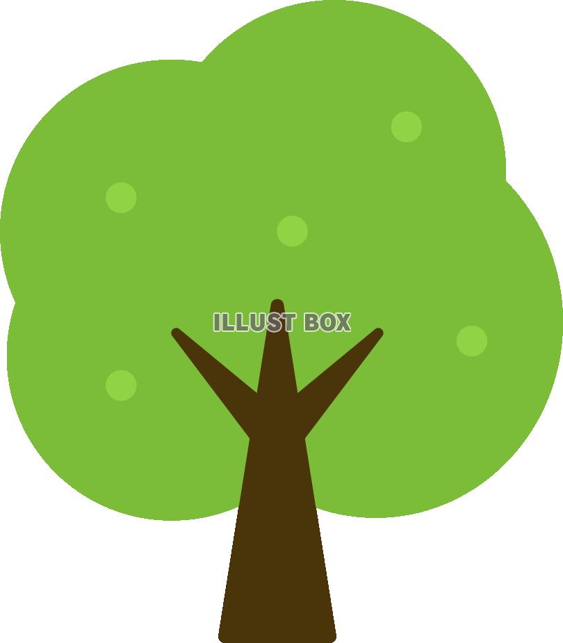 シンプルな木　緑