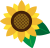 ひまわり02　花と葉