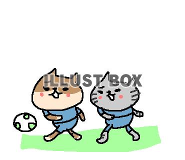 ゆるゆるサッカーねこさん３