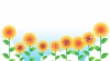 ひまわり（向日葵）花のイラスト・背景素材