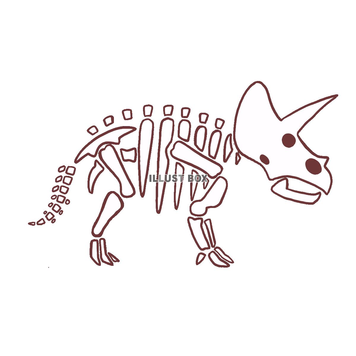 トリケラトプスの骨格