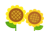 寄り添うヒマワリ①　透過png