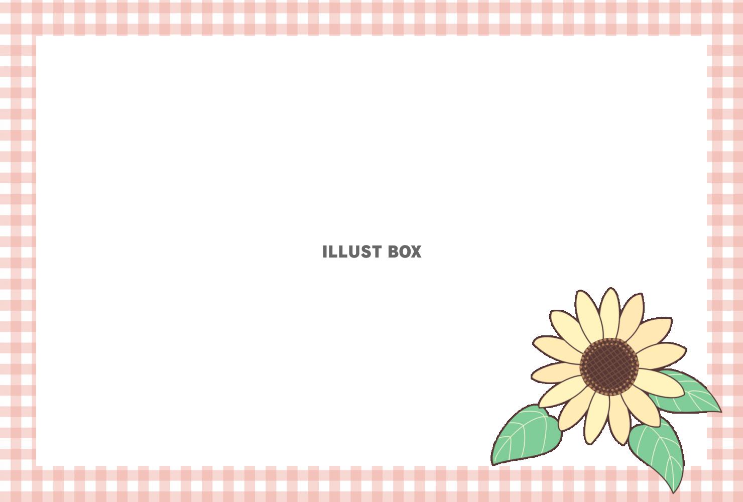 ヒマワリの花とチェック柄のフレーム（横枠）　ピンク　夏のイラ...