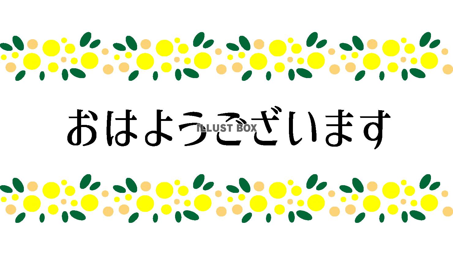 ミモザ・上下・おはようございます