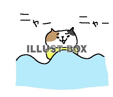 ゆるゆる夏エンジョイねこさん１０