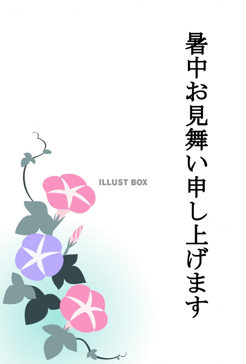 暑中お見舞いテンプレート　あさがおの花　はがきサイズ　シンプ...