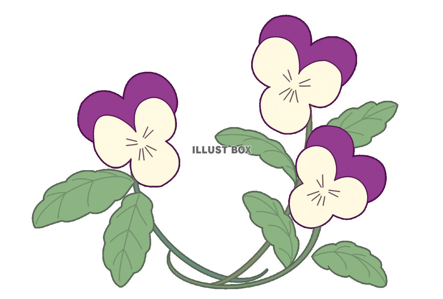 シンプルなパンジーのお花　(紫色)　透過PNG　春のイラスト