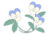 シンプルなパンジーのお花　(水色)　透過PNG　春のイラスト