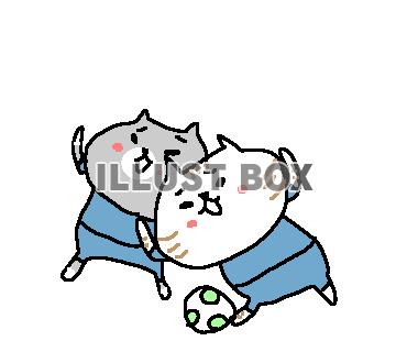 ゆるゆるサッカーねこさん７