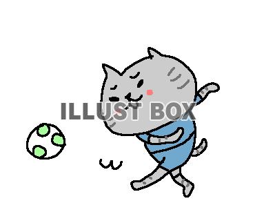 ゆるゆるサッカーねこさん１１