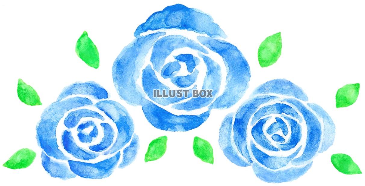水彩の青いバラの花１