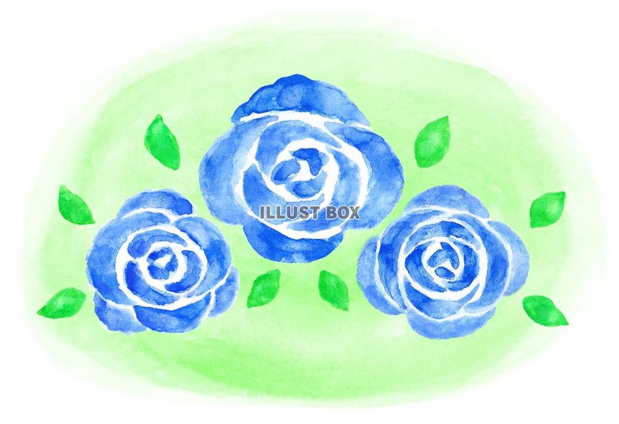 水彩の青いバラの花２