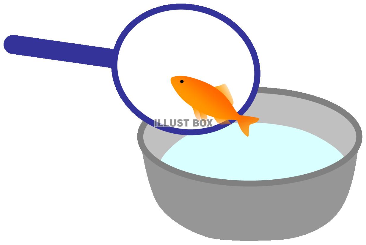 金魚すくい２