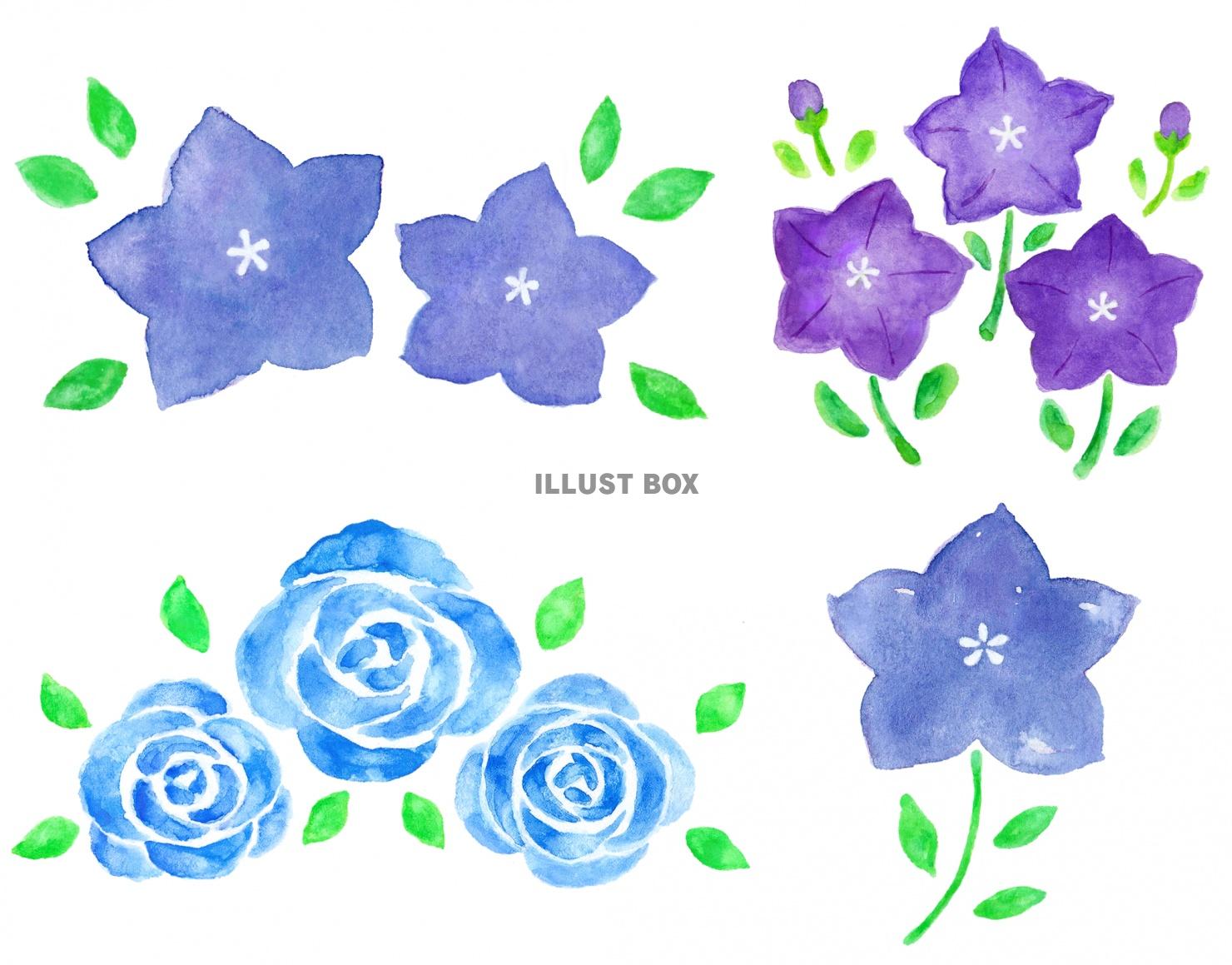 無料イラスト 夏の花のイラストセット