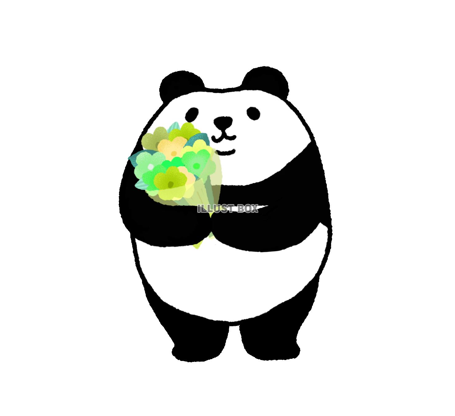 パンダシリーズ　緑の花束