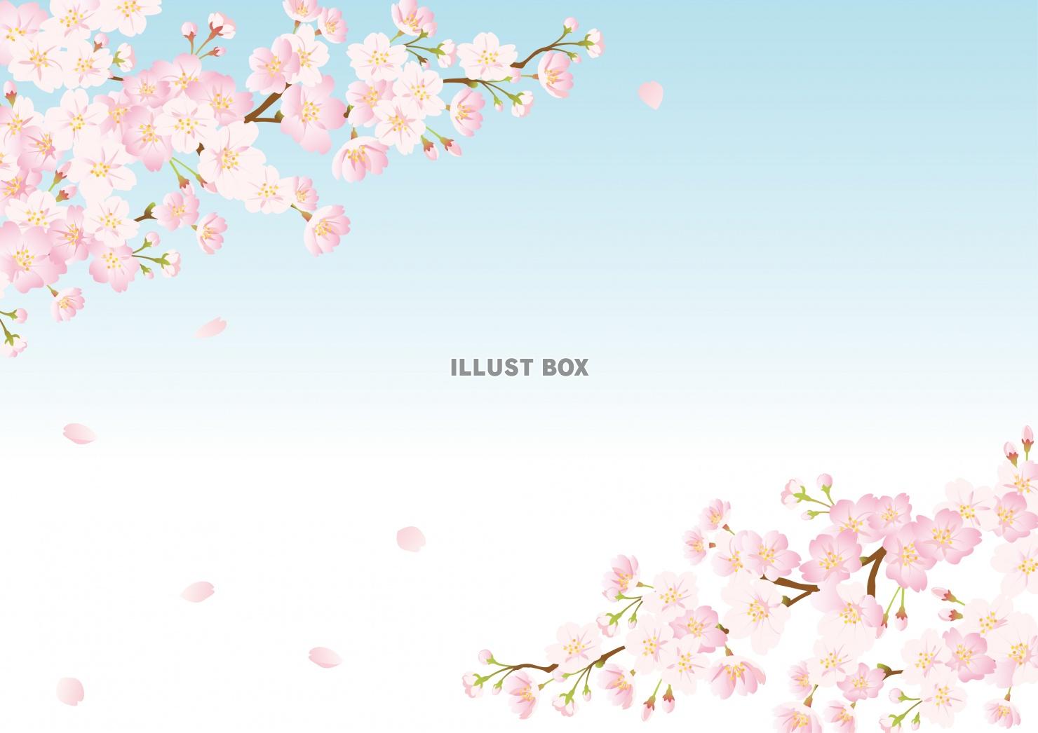 春のイラスト★桜と青空の背景フレーム
