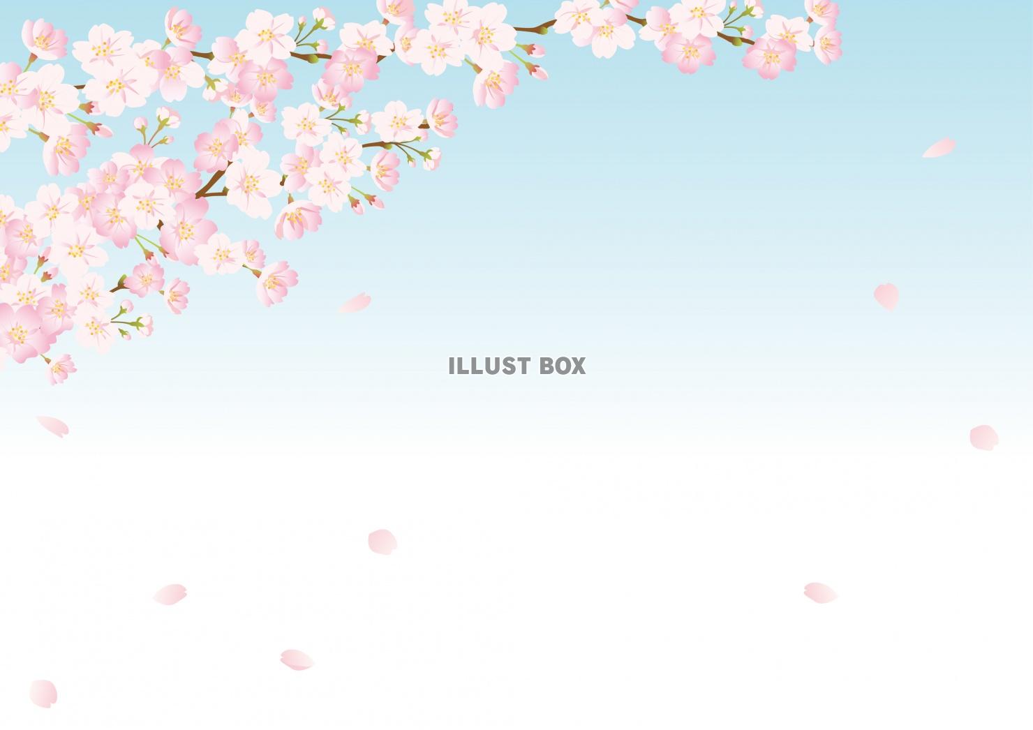 春のイラスト★桜と青空の背景フレーム