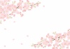 春のイラスト★桜の背景フレーム
