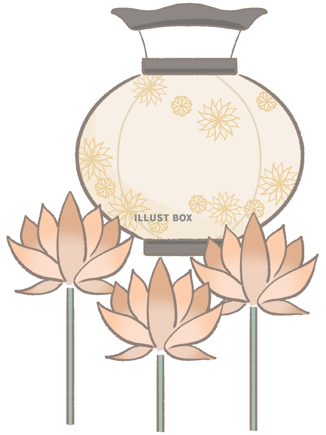 お盆提灯とハスの花のイラスト　線あり