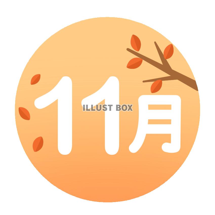 11月 紅葉