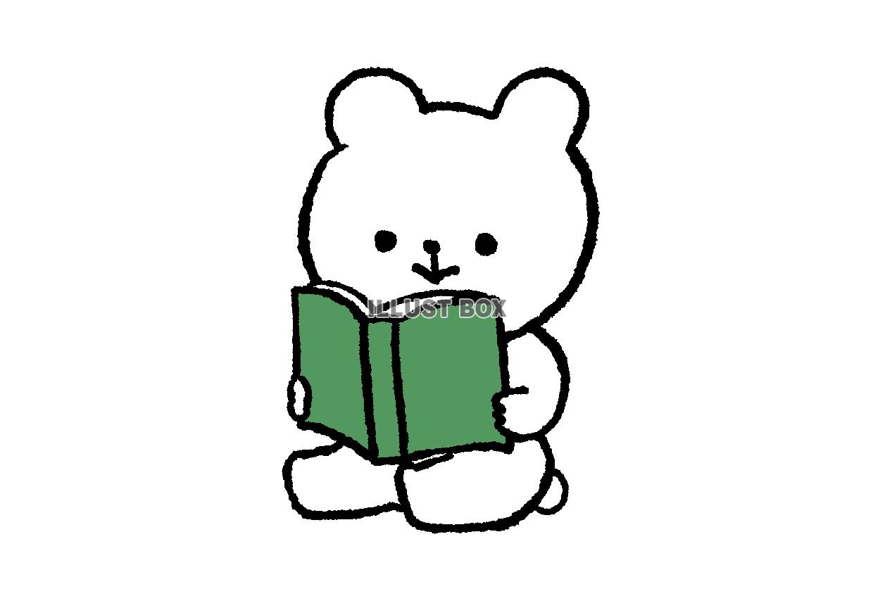 読書するくま