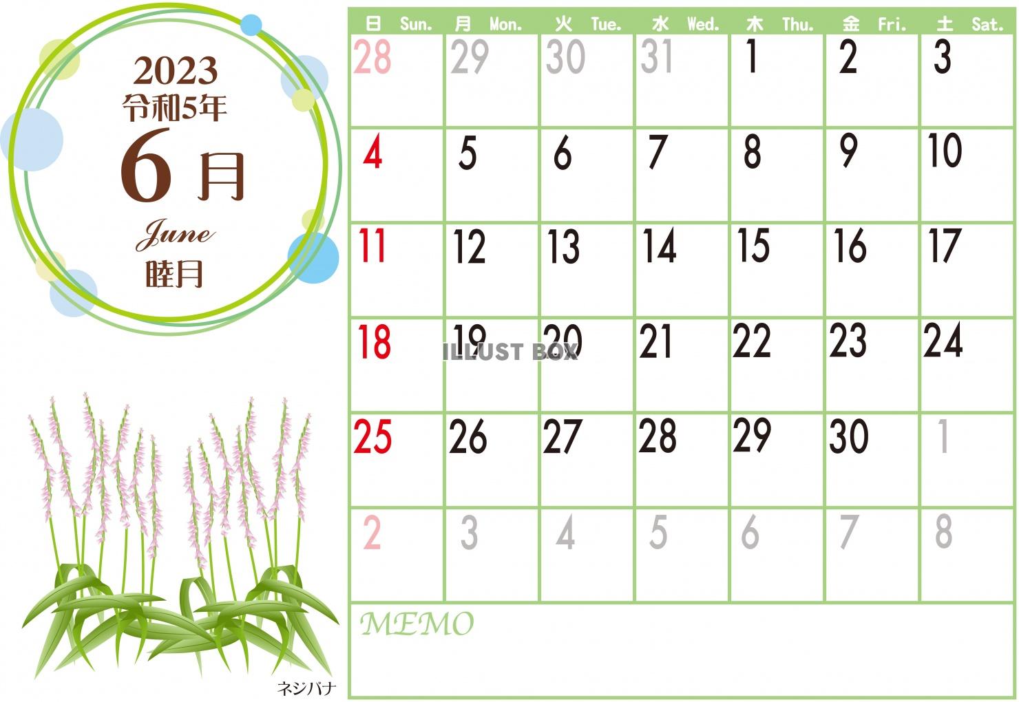 2023年6月野花のシンプルカレンダー（ZIPにCS5ai＋...