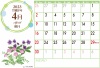 2023年4月野花のシンプルカレンダー（ZIPにCS5ai＋透過PNGデータ）