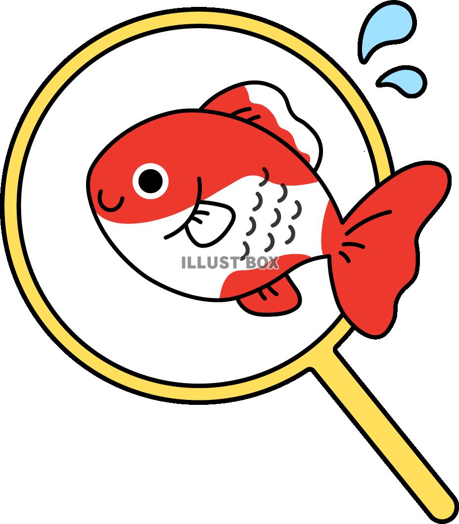 金魚すくい　ポイ　赤白